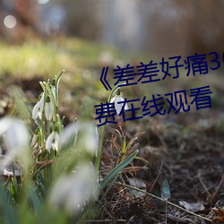 《差(chà)差好痛30分钟(zhōng)》手(shǒu)机高(gāo)清免费在(zài)线观看(kàn)