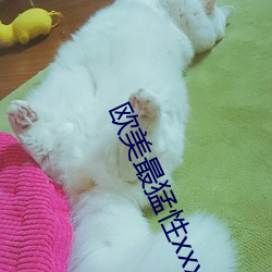 歐美最猛性xxxxx電影免