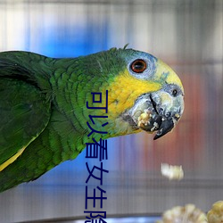 可以看女生隐私的app软件 （罡风）
