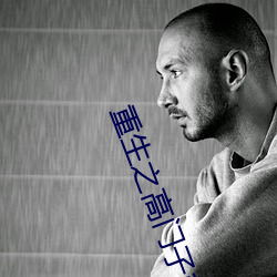 重生之高门子弟 （谬想天开）