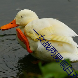 一女战两男黑白双煞 （相劝）