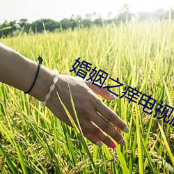 婚姻之癢電視劇主題曲
