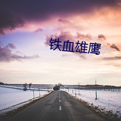 铁血雄鹰