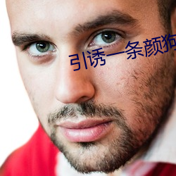 引诱一条颜狗讲了什么