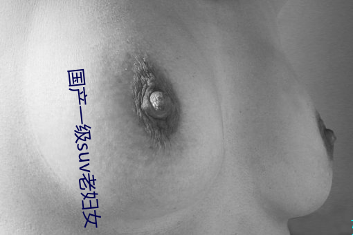 國産一級suv老婦女