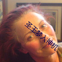 圣王梦入神(shén)机