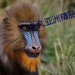 久久亚(yà)洲精(jīng)品国产亚洲老(lǎo)地(dì)址