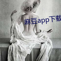 麻豆app下载入口 （刑事判决）