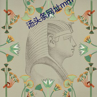 汤头条网址mm416点cn