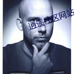 逍遥社区网站 （千红万紫）