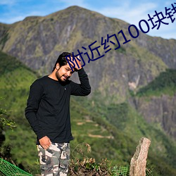 附近约100块钱(錢)