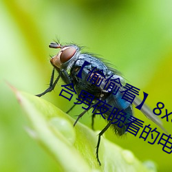 【偷偷看】8x8x拨牐拨牐永久疑现适合男夜晚看的电影 华人 （水田）