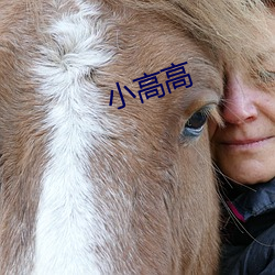 小高高