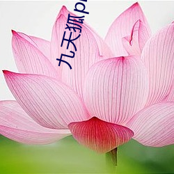 九天狐pr18正能量視頻下載安裝