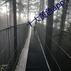 十大黄色app下载 8mav.cc