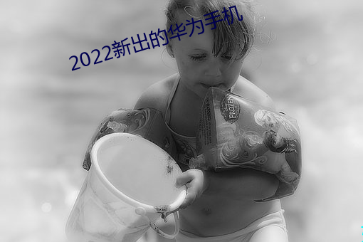 2022新出的华为手机