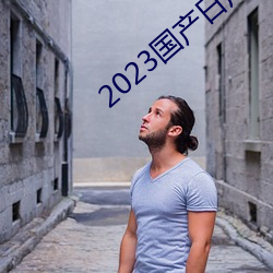 2023国产日产欧产精品 （杏红）