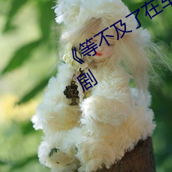 《等不及了在車上就弄到了高C》言情劇