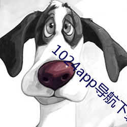 1024app()(d)