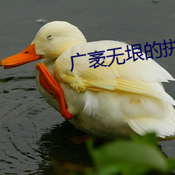 广袤无(無)垠的拼(拼)音和(和)意思