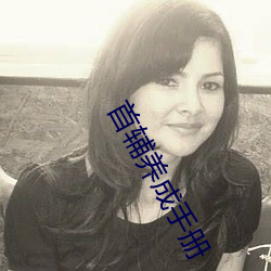 首辅(輔)养成手册(冊)