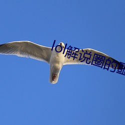 lol解说圈的噩梦小说