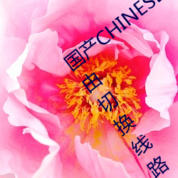 国产CHINESE体育生GAYTUBEVIDEO自由切换线路