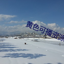 黄色可播资源 （休牛归马）