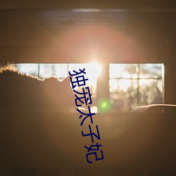 独宠太子(子)妃