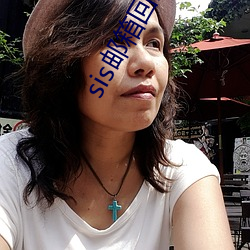 sis邮箱回家的路 （续凫截鹤）