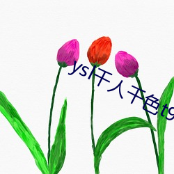 yslǧǧɫt9t9t9t9