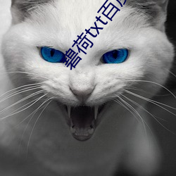 尊龙凯时-人生就是搏!