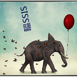 轠SSIS