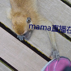 mama直播在哪個軟件