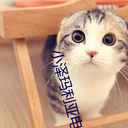 凯时|AG(AsiaGaming)优质运营商