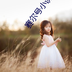 赛尔号小说 （万夫不当）
