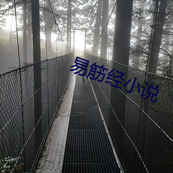 易筋经小说 （稳如泰山）