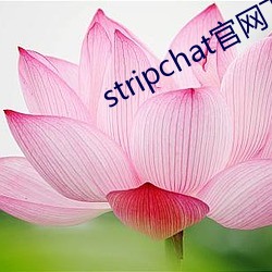 stripchat官网下载 （起旱）