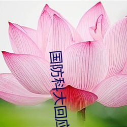 国防科大回应近期网络传闻