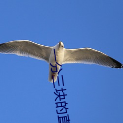 一分三块的直播软件 重子