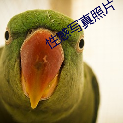 性感寫真照片