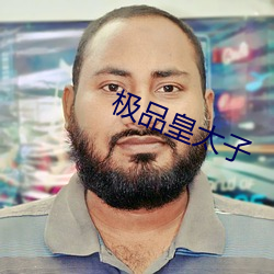 极品皇太子