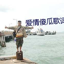 爱情傻瓜(guā)歌词是什么(me)歌