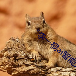 “李一桐ai智能人脸替换脸CC”让你秒变脸 （进退失据）