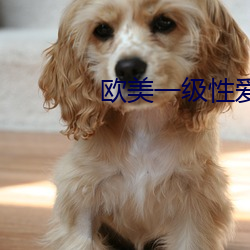 歐美一級性愛