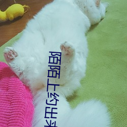 陌陌上约出来的靠谱吗