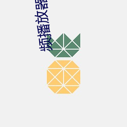 频播放(放)器