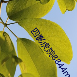 四影(影)虎(虎)院8844mc