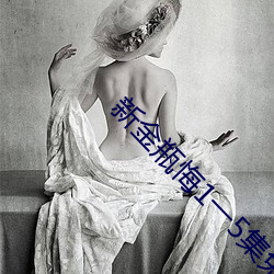 新金瓶悔1一5集免费