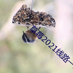草(草)莓2021线路一(一)线(線)路二